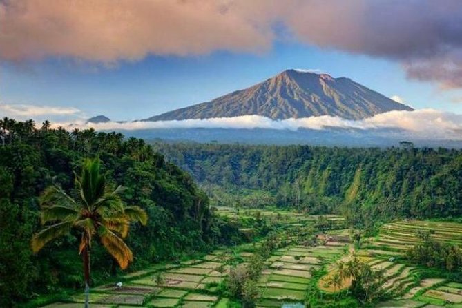 Best bali transport service - custom your own itinerary - Key Things I’d Focus on Before You Book