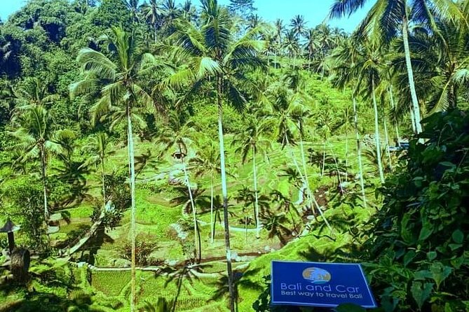 Best bali transport service - custom your own itinerary - Timing, Food, and How to Keep the Day Smooth
