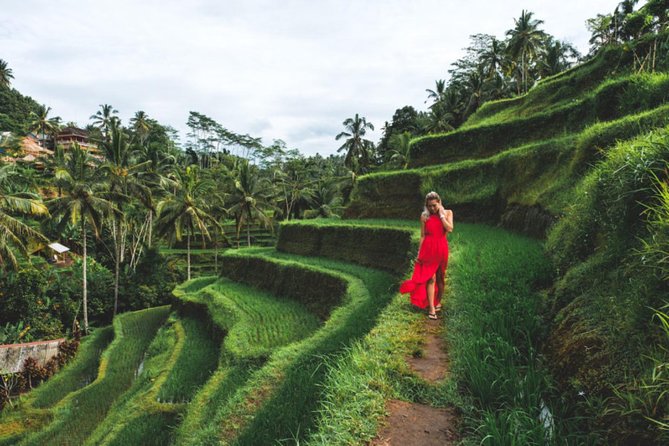 Best Day Trip in Bali - Why This Route Works Around Ubud