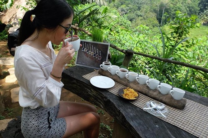 Best Day Trip in Bali - Celuk Silver Craft and a Coffee Farm Stop