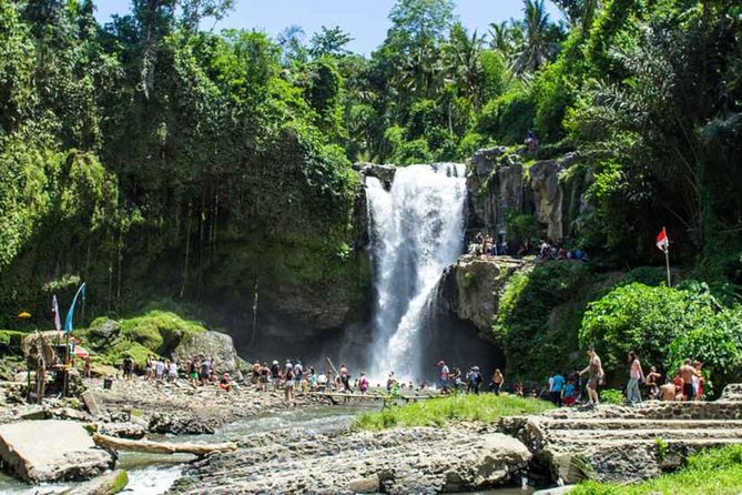 Best of Authentic Balinese Tour - Price and Logistics: Why $49.49 Can Still Feel Like a Good Deal