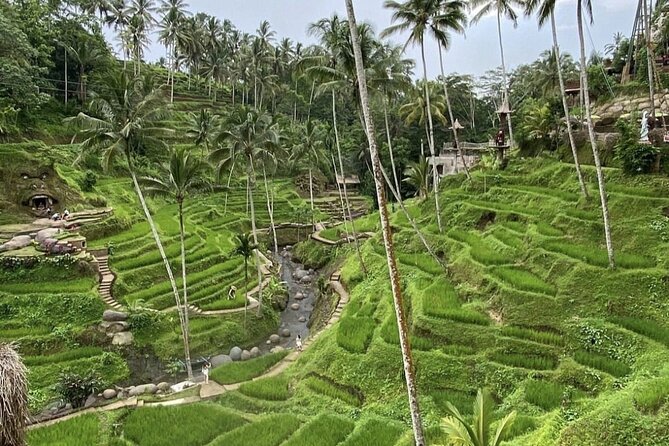 Best of Instagram Tour: Gate of Heaven, Tirta Gangga, Bali Swing - Tegalalang Rice Terrace in 15 minutes: quick shots, fast choices