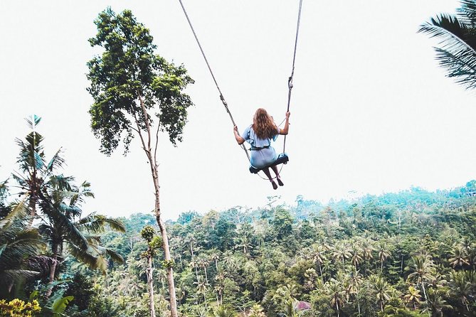 Best of Ubud Full-Day Tour with Jungle Swing - Sacred Monkey Forest Sanctuary: shade walks, wildlife, and respectful curiosity
