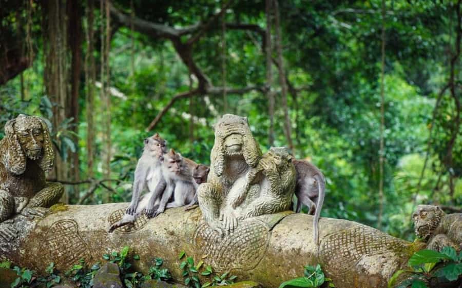 Best of Ubud - Private Guided Full-Day Tour, Ubud, Bali - Tegenungan Waterfall, cool off before you head back