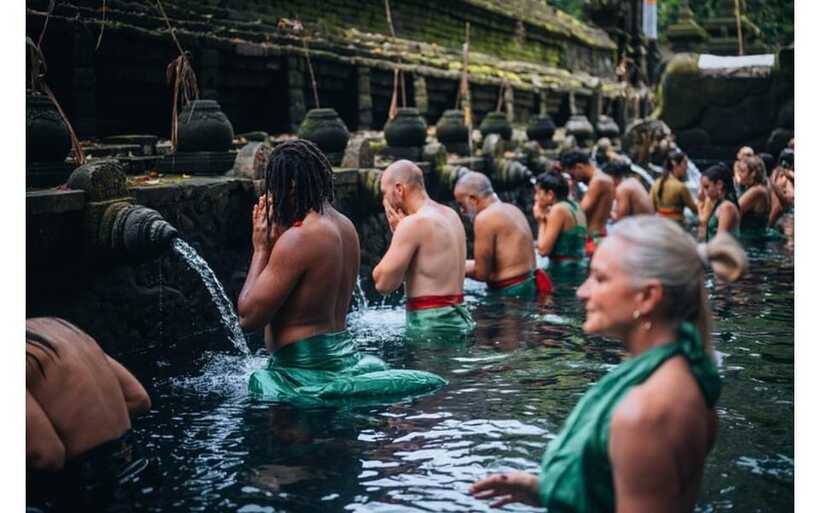 Best of Ubud - Private Guided Full-Day Tour, Ubud, Bali - Price and logistics, is $35 good value in Bali?