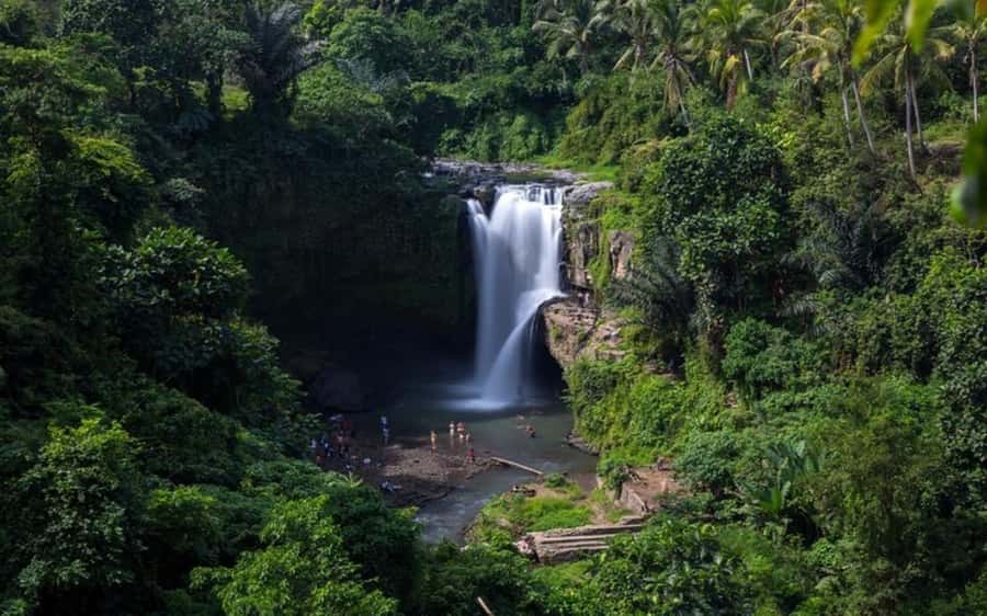 Best of Ubud - Private Guided Full-Day Tour, Ubud, Bali - Sacred Monkey Forest Sanctuary, temple vibes with quick fingers