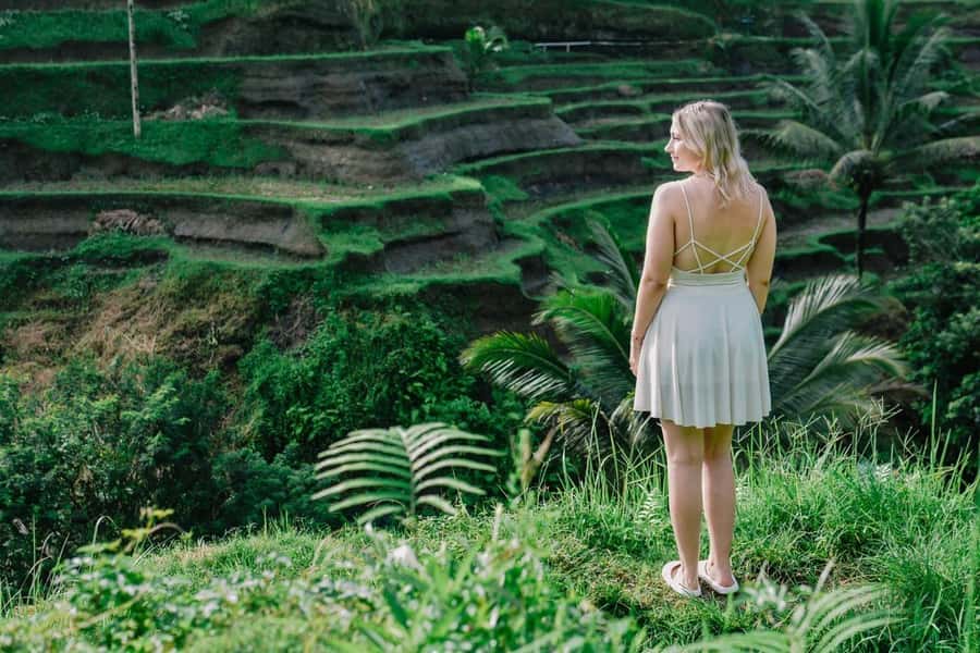 Best Of Ubud Purification Rice Terrace and Waterfall - What is included, and the real value math