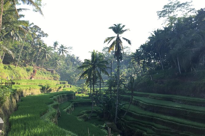 Best of Ubud Waterfalls, Tegalalang Rice Terrace and Swing Tour - Stop 4, Tukad Cepung Waterfall and the Light Effects
