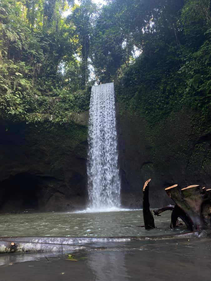 Best Watefalls, Monkey Forest, Temple and Rice terrace - Tegalalang Rice Terrace: the famous green views, plus the swing option