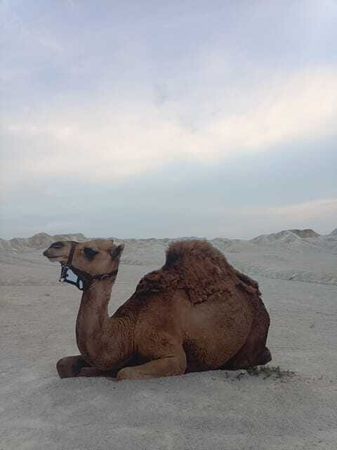 Bintan Desert And Blue Lake Private Tour - Rules that keep the vibe safe and easy