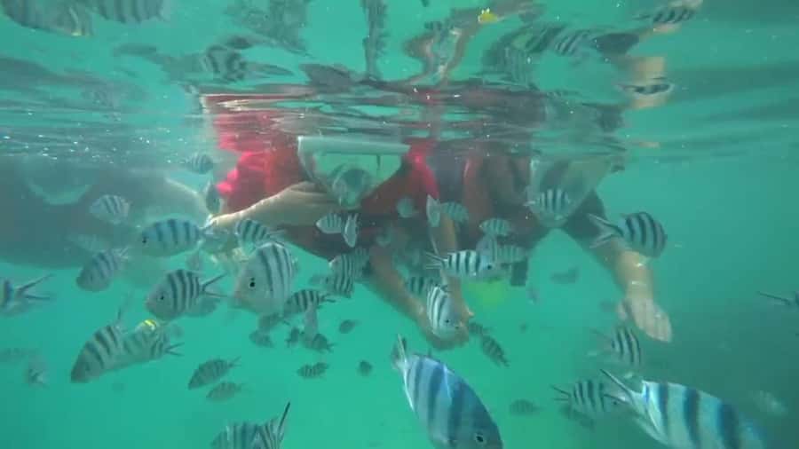 Bintan Snorkeling - How the 4-hour Lagoi Bay snorkeling day is paced