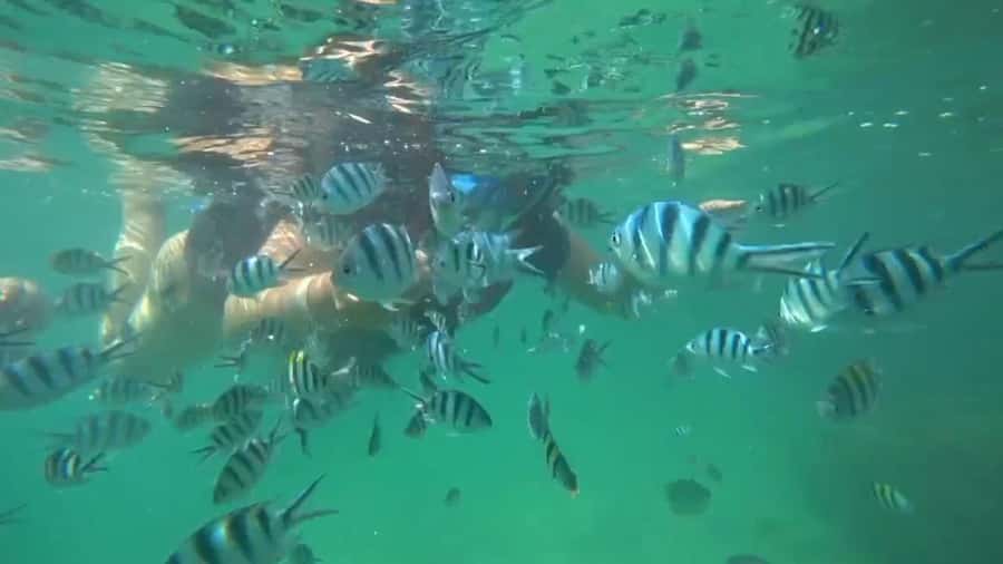 Bintan Snorkeling - Gear up fast: washrooms, storage, and beginner-friendly help