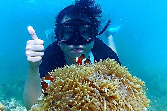 Bintan Snorkeling Tour - Kayaking and fun fishing, plus platform time that stretches the experience