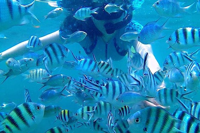 Bintan Snorkeling Tour - What’s included, what’s not, and what to bring anyway