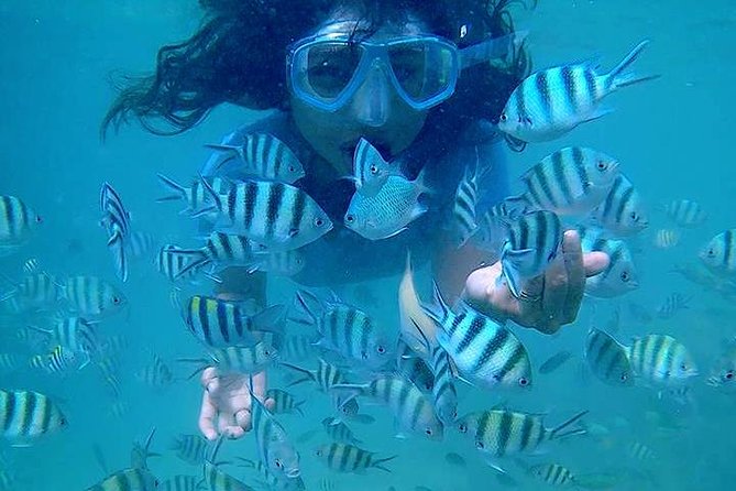 Bintan Snorkeling Tour - Timing and pacing: how to choose your departure slot
