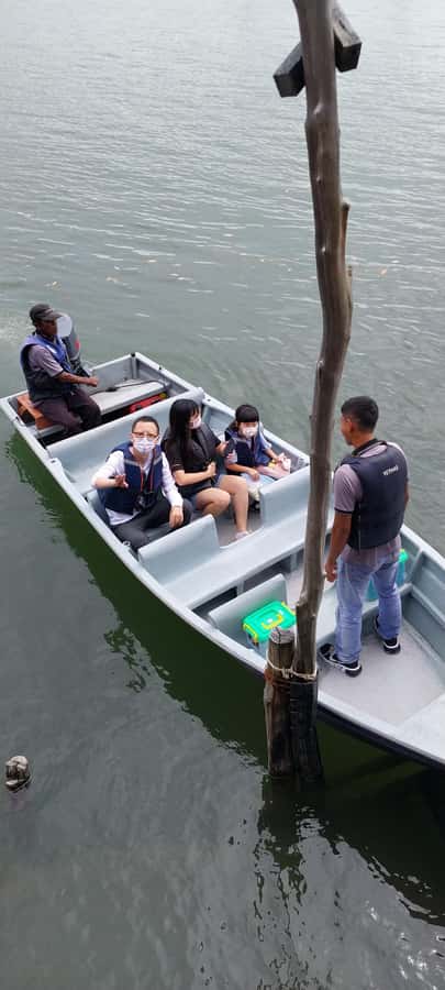 Bintan Tour Mangrove or Fireflies - Key highlights to look for