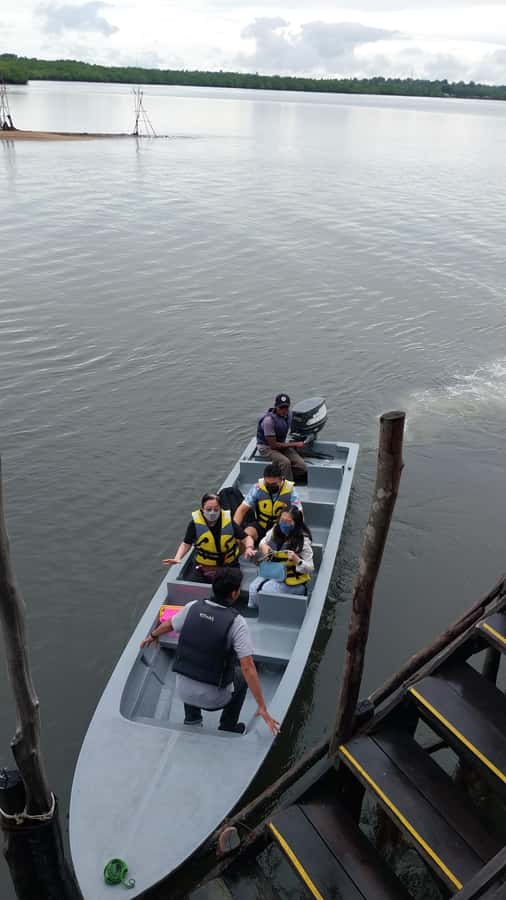 Bintan Tour Mangrove or Fireflies - Mangrove waterways to firefly glow, in a tight 1-hour loop