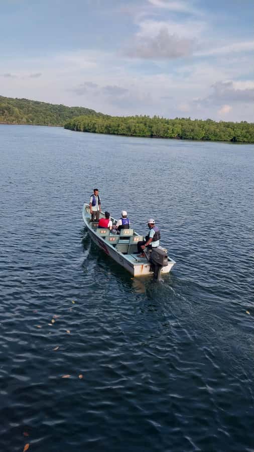 Bintan Tour Mangrove or Fireflies - What the guide teaches as you cruise the mangroves