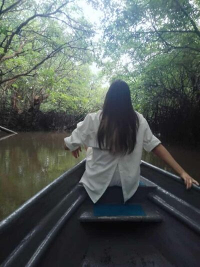 Bintan Tour Mangrove or Fireflies