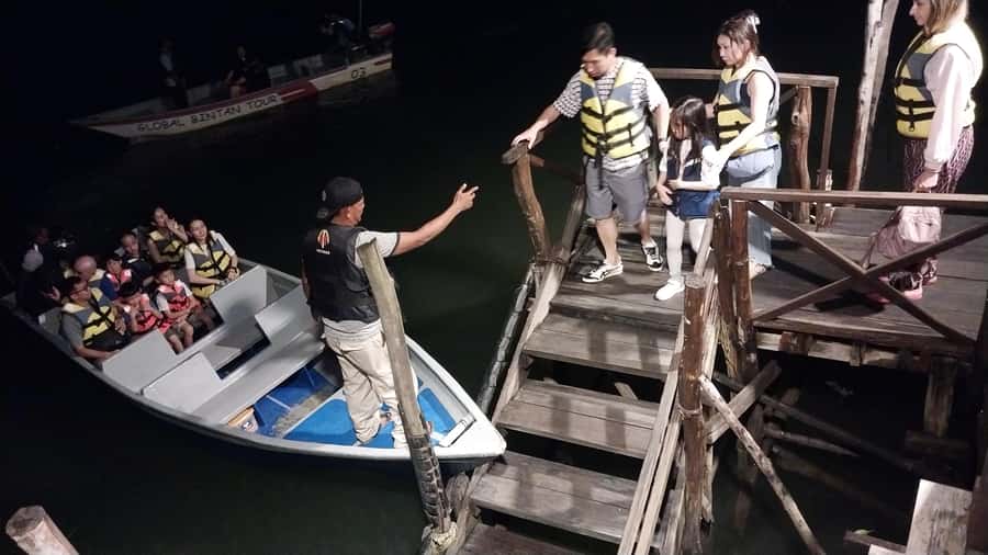Bintan Tour Mangrove or Fireflies - Should you book this Bintan mangrove or fireflies tour?