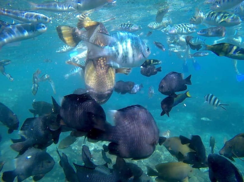 Blue Lagon Snorkeling, Waterfall, and Celuk Village Tour - Key Highlights You’ll Want to Plan For