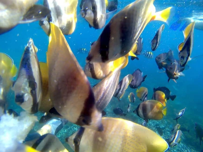 Blue Lagon Snorkeling, Waterfall, and Celuk Village Tour - Getting Picked Up and Staying Comfortable All Day