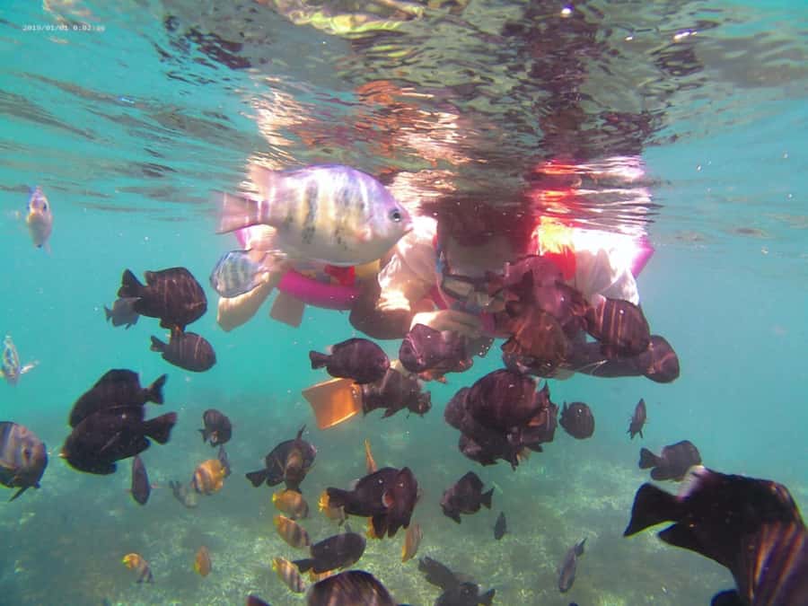Blue Lagoon and Tanjung Jepun Snorkeling Tour - Key takeaways
