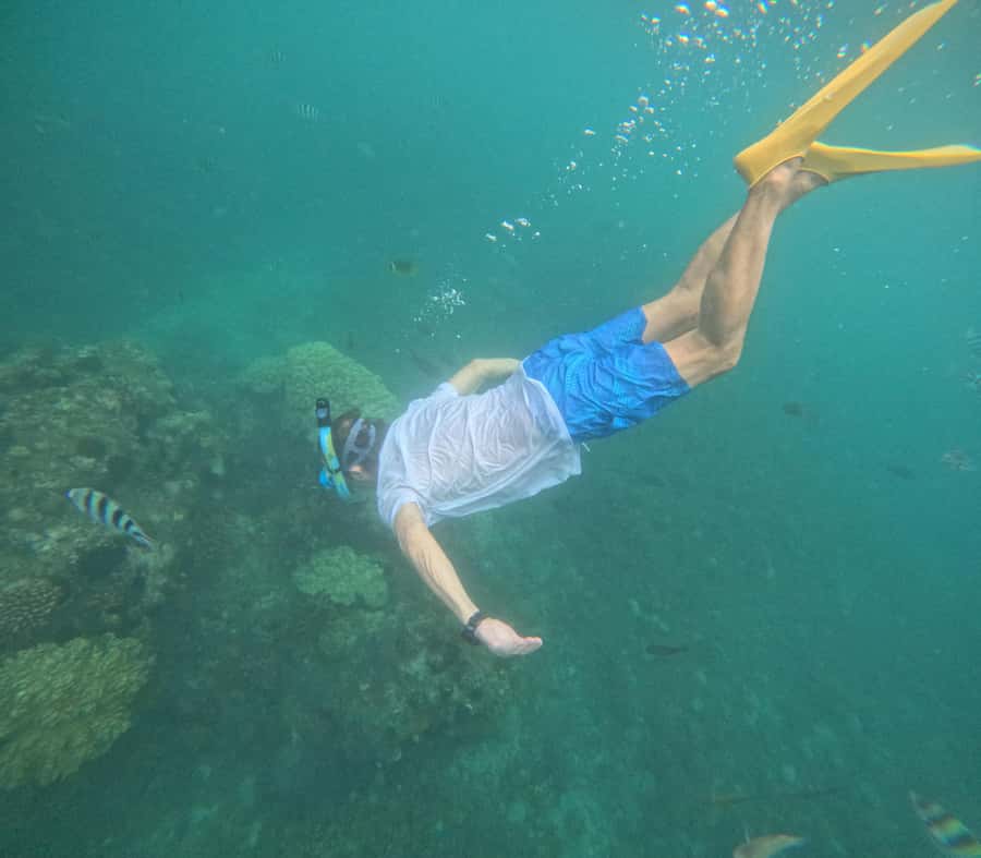 Blue Lagoon and Tanjung Jepun Snorkeling Tour - Gear, guide style, and how to get the best views