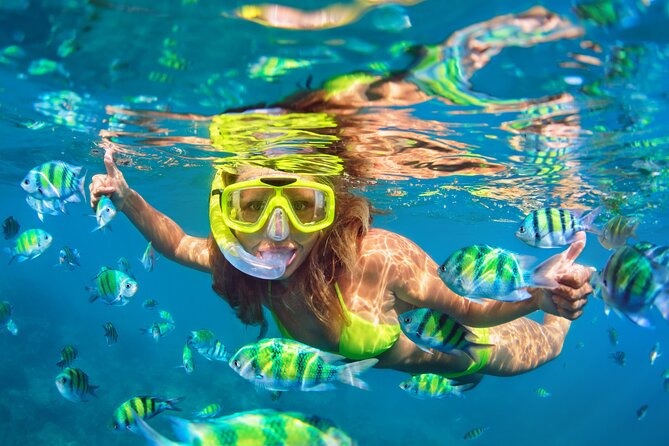 Blue Lagoon Bali Snorkeling Experience - Price and logistics: what you actually get for $45.45