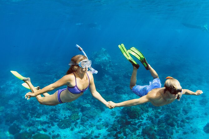 Blue Lagoon Bali Snorkeling Experience - Blue Lagoon reality check: current, clarity, and wildlife safety