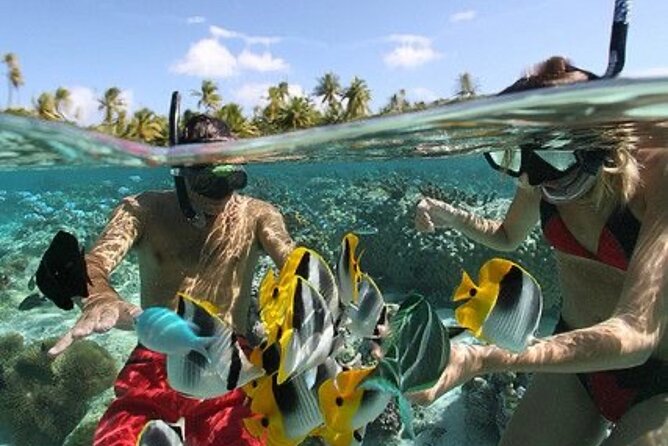 Blue Lagoon Snorkeling - Lunch - Kantolampo - Tibumana Waterfall - Pickup, timing, and why drivers like Adi, Made, and Maha can make or break your day