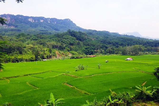 Bogor Botanical Garden & Rainforest Trekking to Hidden Waterfall - Rice Fields and Village Life: Seeing Work, Not Just Views