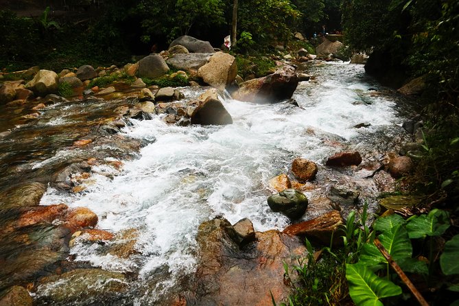 Bogor Botanical Garden & Rainforest Trekking to Hidden Waterfall - Gede Pangrango Rainforest Trek: What to Expect on the Active Trail