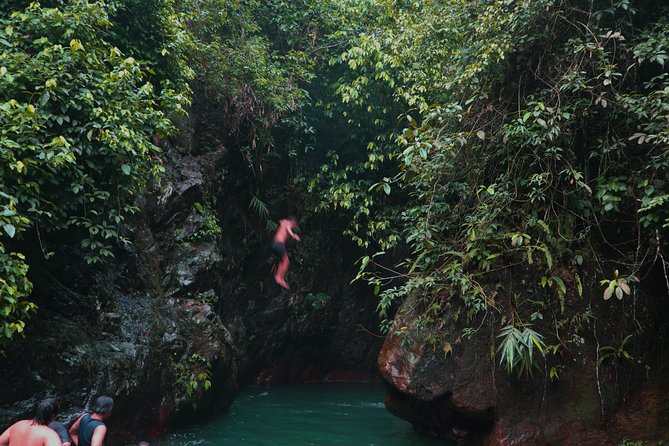 Bogor Botanical Garden & Rainforest Trekking to Hidden Waterfall - Cikaracak Waterfall: The 40-Meter Splash Zone
