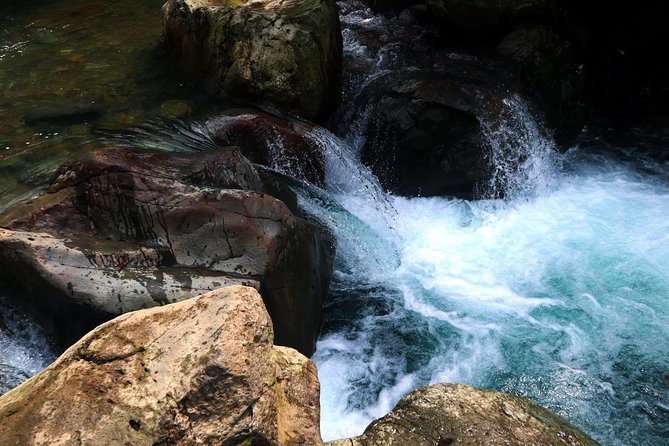 Bogor Botanical Garden & Rainforest Trekking to Hidden Waterfall - Lunch and Water Included: Turning $95 Into a Fair Day Plan