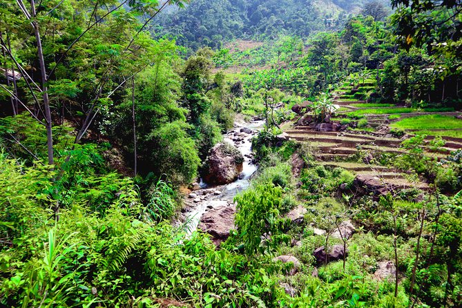 Bogor Botanical Garden & Rainforest Trekking to Hidden Waterfall - Guides and Drivers: The Difference Between Seeing and Understanding