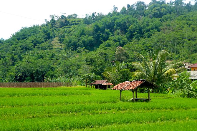 Bogor Botanical Garden & Rainforest Trekking to Hidden Waterfall - Packing for a Wet Hike: What to Bring So You Stay Comfortable