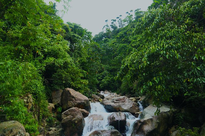 Bogor Botanical Garden & Rainforest Trekking to Hidden Waterfall - Kebun Raya Bogor: 200 Hectares of Tropical Plants Since 1817
