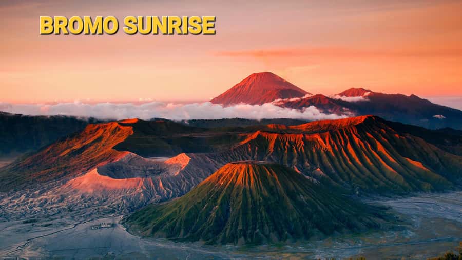 Bromo - Ijen Sunrise Tour 3d2n - Surabaya to Bromo Hotel, With Rest Before the Early Push