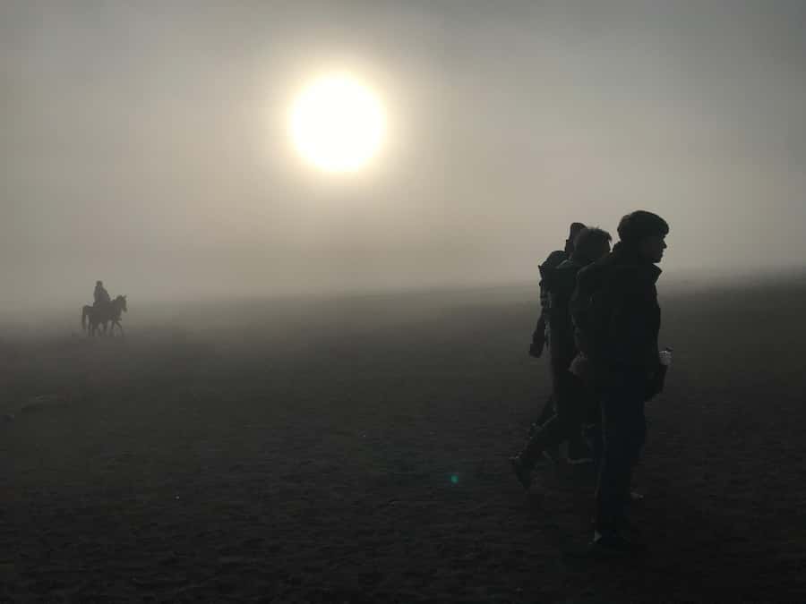 Bromo: Private Sunrise and Crater Exploration - Coffee tasting plus brunch, not just sightseeing fuel