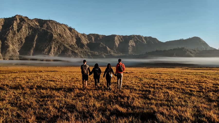 Bromo Sunrise & Madakaripura Waterfall Private 1 Day Tour - Key things that make this tour work