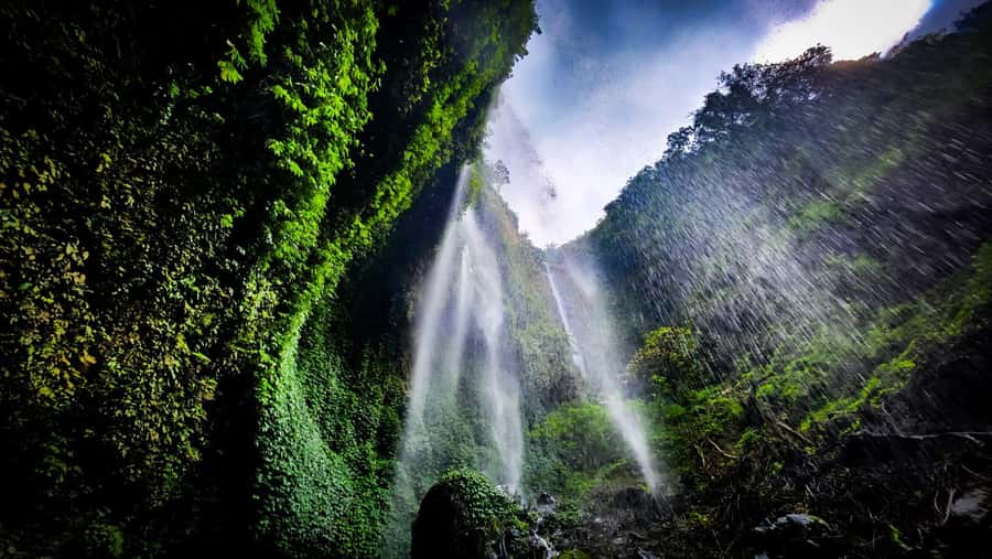 Bromo Sunrise & Madakaripura Waterfall Private 1 Day Tour - Into Mount Bromo’s Caldera, Where the Air Turns Volcanic