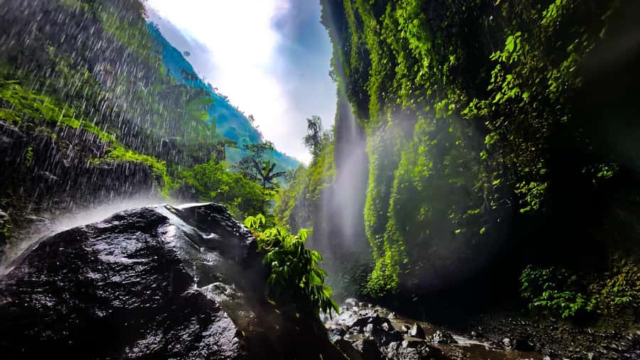 Bromo Sunrise & Madakaripura Waterfall Private 1 Day Tour - King Kong Hills Viewpoint Sunrise, Coffee With a Purpose