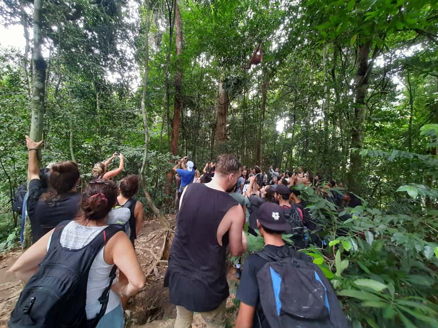 Bukit Lawang: Jungle Trekking and Rafting Day Trip - Transition time: from muddy jungle trails to getting wet on purpose
