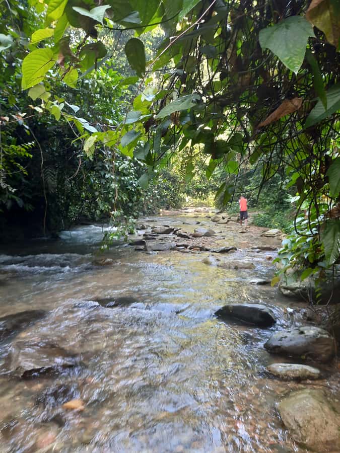 Bukit Lawang: Jungle Trekking and Rafting Day Trip - Traditional Bahorok rafting on a car-inner-tube raft