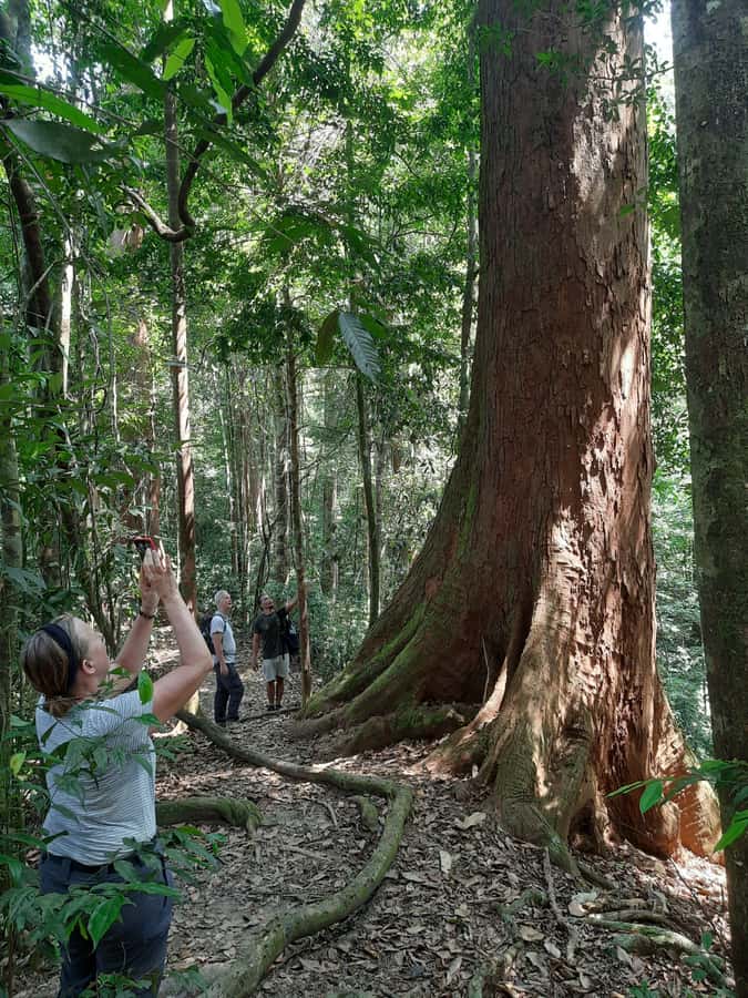Bukit Lawang: Jungle Trekking and Rafting Day Trip - Getting from Medan (or Kualanamu) to Bukit Lawang without losing your mind