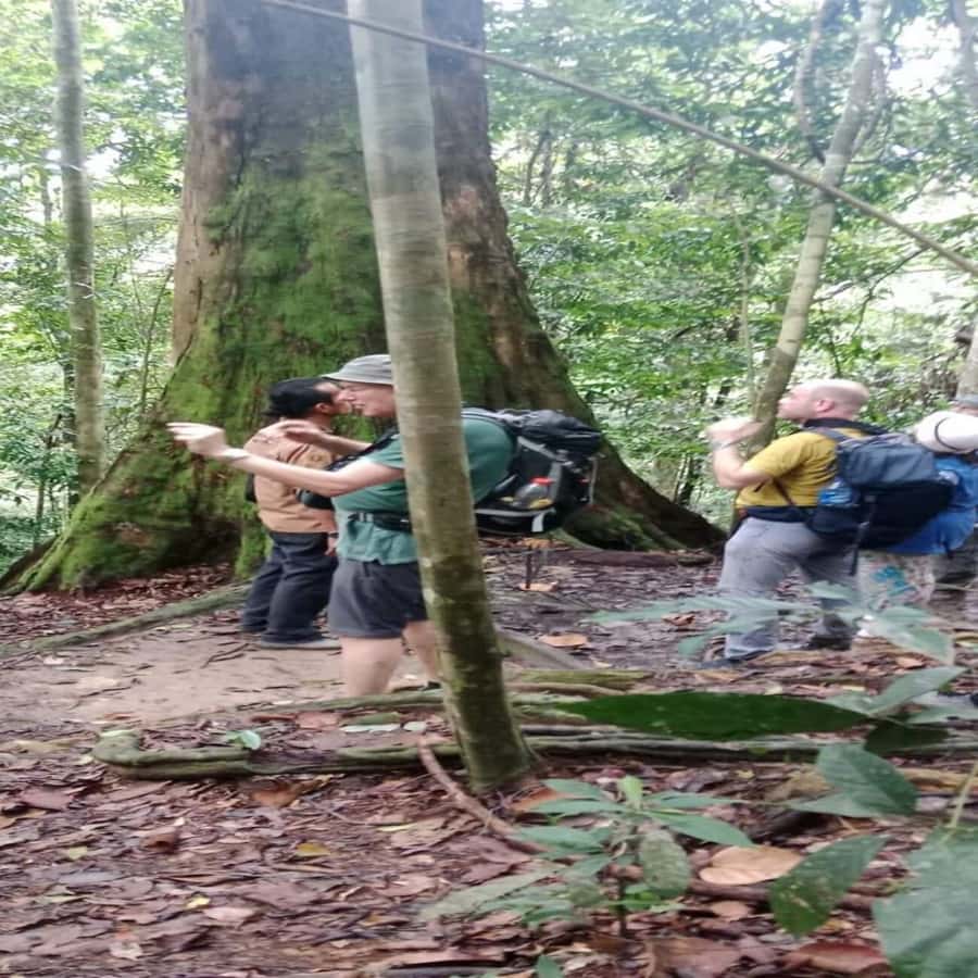 Bukit Lawang: Orangutan Tour & Wonderful Jungle View - Small-Group Jungle Day, Medan Pickup, and What Actually Happens