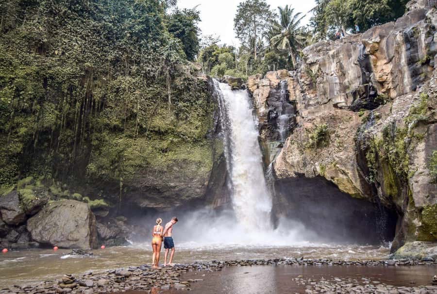 Central Bali: Ubud Village, Rice Terrace, and Kintamani Tour - Key highlights you will feel right away