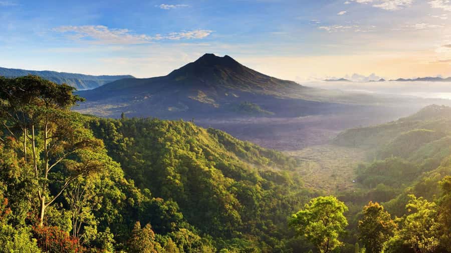 Central Bali: Ubud Village, Rice Terrace, and Kintamani Tour - A one-day Central Bali loop that actually makes sense