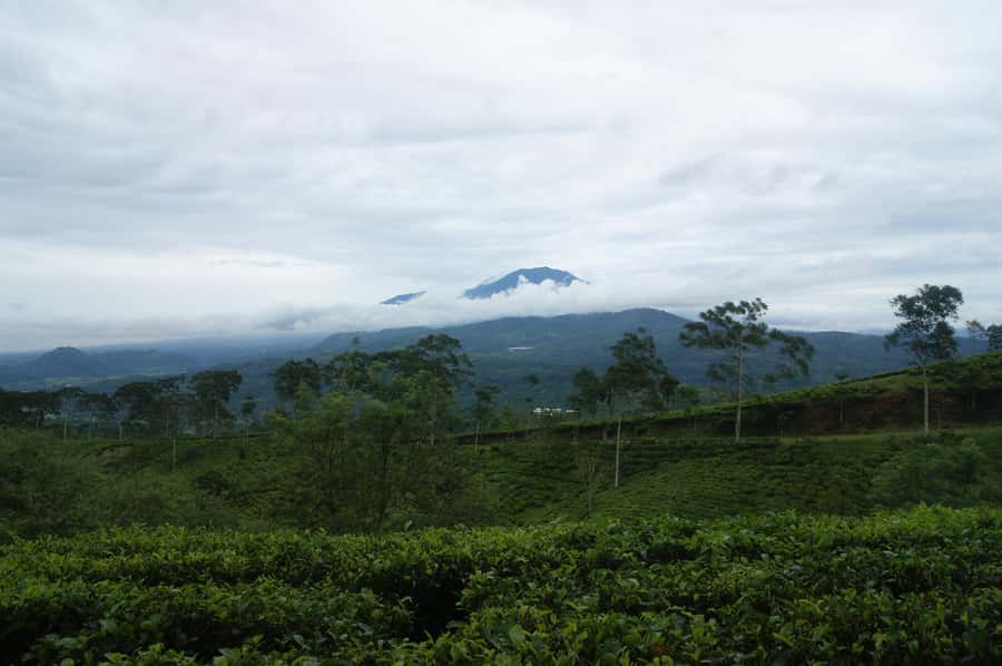 Cianjur: Full-Day Historical Tour of Gunung Padang and Falls - Gunung Padang and Falls in Cianjur, What This Day Really Delivers
